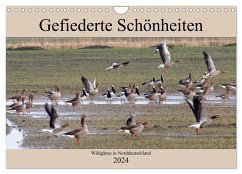 Gefiederte Schönheiten - Wildgänse in Norddeutschland (Wandkalender 2024 DIN A4 quer), CALVENDO Monatskalender - pötsch, rolf