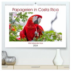 Papageien in Costa Rica (hochwertiger Premium Wandkalender 2024 DIN A2 quer), Kunstdruck in Hochglanz - Akrema-Photography