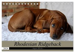 Rhodesian Ridgeback Augen-Blicke (Tischkalender 2024 DIN A5 quer), CALVENDO Monatskalender - Behrens, Dagmar