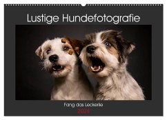 Fang das Leckerlie (Wandkalender 2024 DIN A2 quer), CALVENDO Monatskalender