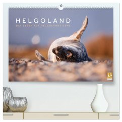 Helgoland - Das Leben auf der Düne Helgolands (hochwertiger Premium Wandkalender 2024 DIN A2 quer), Kunstdruck in Hochglanz
