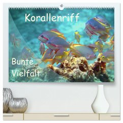 Bunte Vielfalt im Korallenriff (hochwertiger Premium Wandkalender 2024 DIN A2 quer), Kunstdruck in Hochglanz