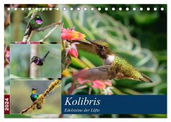 Kolibris - Edelsteine der Lüfte (Tischkalender 2024 DIN A5 quer), CALVENDO Monatskalender - Wöhlke, Jürgen