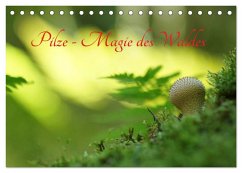 Pilze - Magie des Waldes (Tischkalender 2024 DIN A5 quer), CALVENDO Monatskalender