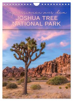 Impressionen aus dem JOSHUA TREE NATIONAL PARK (Wandkalender 2024 DIN A4 hoch), CALVENDO Monatskalender - Viola, Melanie