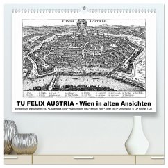 TU FELIX AUSTRIA - Wien in alten Ansichten (hochwertiger Premium Wandkalender 2024 DIN A2 quer), Kunstdruck in Hochglanz - Liepke, Claus