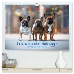 Französische Bulldogge - Clowns auf vier Pfoten (hochwertiger Premium Wandkalender 2024 DIN A2 quer), Kunstdruck in Hochglanz