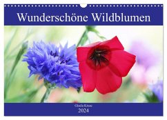 Wunderschöne Wildblumen (Wandkalender 2024 DIN A3 quer), CALVENDO Monatskalender