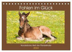 Fohlen im Glück - Wunderbare Welt der Pferdekinder (Tischkalender 2024 DIN A5 quer), CALVENDO Monatskalender - Bölts, Meike