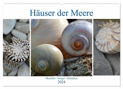 Häuser der Meere: Muscheln - Seeigel - Schnecken (Wandkalender 2024 DIN A2 quer), CALVENDO Monatskalender
