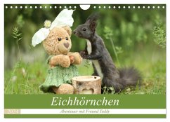 Eichhörnchen - Abenteuer mit Freund Teddy (Wandkalender 2024 DIN A4 quer), CALVENDO Monatskalender - Cerny, Birgit