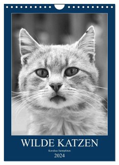 Wilde Katzen - Korsikas Samtpfoten (Wandkalender 2024 DIN A4 hoch), CALVENDO Monatskalender