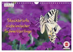 GEOclick Lernkalender: Steckbriefe einheimischer Schmetterlinge (Wandkalender 2024 DIN A4 quer), CALVENDO Monatskalender