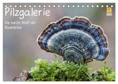 Pilzgalerie - Die bunte Welt der Baumpilze (Tischkalender 2024 DIN A5 quer), CALVENDO Monatskalender - Wurster, Beate