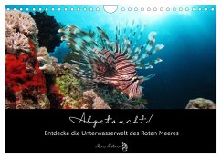 Abgetaucht! Entdecke die Unterwasserwelt des Roten Meeres (Wandkalender 2024 DIN A4 quer), CALVENDO Monatskalender