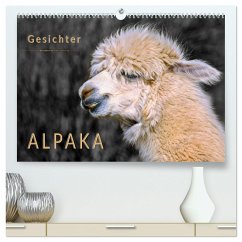 Alpaka Gesichter (hochwertiger Premium Wandkalender 2024 DIN A2 quer), Kunstdruck in Hochglanz