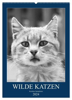 Wilde Katzen - Korsikas Samtpfoten (Wandkalender 2024 DIN A2 hoch), CALVENDO Monatskalender - Schimmack, Claudia