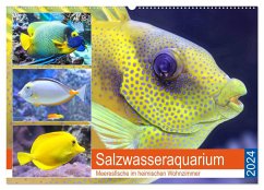 Salzwasseraquarium. Meeresfische im heimischen Wohnzimmer (Wandkalender 2024 DIN A2 quer), CALVENDO Monatskalender - Hurley, Rose
