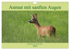Anmut mit sanften Augen - Rehwild in der freien Natur (Wandkalender 2024 DIN A4 quer), CALVENDO Monatskalender