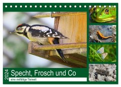 Specht, Frosch und Co - eine vielfältige Tierwelt (Tischkalender 2024 DIN A5 quer), CALVENDO Monatskalender - Schimmack, Claudia