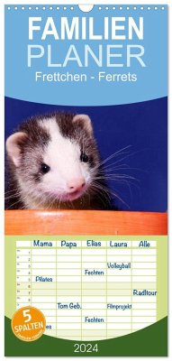 Familienplaner 2024 - Frettchen - Ferrets mit 5 Spalten (Wandkalender, 21 x 45 cm) CALVENDO