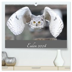 Eulen 2024 (hochwertiger Premium Wandkalender 2024 DIN A2 quer), Kunstdruck in Hochglanz