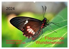 Fliegende Wunderwesen. Schmetterlinge weltweit, ganz nah (Wandkalender 2024 DIN A2 quer), CALVENDO Monatskalender - Zeidler, Thomas
