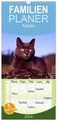Familienplaner 2024 - Katzen mit 5 Spalten (Wandkalender, 21 x 45 cm) CALVENDO