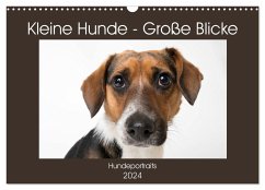 Kleine Hunde - Große Blicke (Wandkalender 2024 DIN A3 quer), CALVENDO Monatskalender