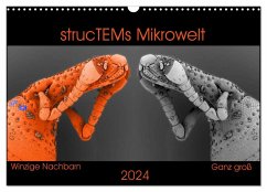 strucTEMs Mikrowelt - Winzige Nachbarn ganz groß (Wandkalender 2024 DIN A3 quer), CALVENDO Monatskalender