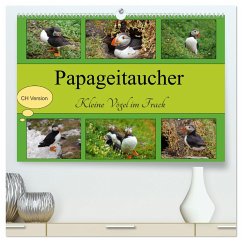 Papageitaucher Kleine Vögel im Frack CH Version (hochwertiger Premium Wandkalender 2024 DIN A2 quer), Kunstdruck in Hochglanz