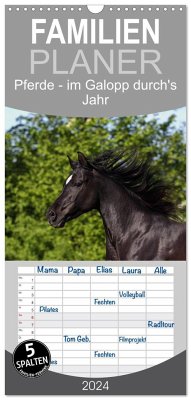 Familienplaner 2024 - Pferde - im Galopp durch's Jahr mit 5 Spalten (Wandkalender, 21 x 45 cm) CALVENDO