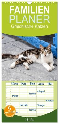 Familienplaner 2024 - Griechische Katzen mit 5 Spalten (Wandkalender, 21 x 45 cm) CALVENDO