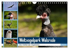 Weltvogelpark Walsrode - Die Vielfalt der Vogelarten (Wandkalender 2024 DIN A4 quer), CALVENDO Monatskalender