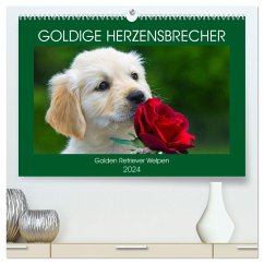Goldige Herzensbrecher - Golden Retriever Welpen (hochwertiger Premium Wandkalender 2024 DIN A2 quer), Kunstdruck in Hochglanz