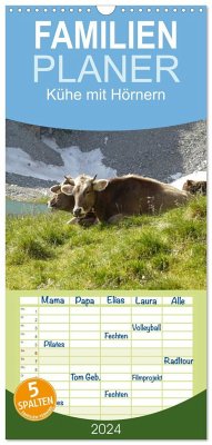 Familienplaner 2024 - Kühe mit Hörnern mit 5 Spalten (Wandkalender, 21 x 45 cm) CALVENDO