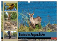 Tierische Augenblicke in Südafrika (Wandkalender 2024 DIN A3 quer), CALVENDO Monatskalender