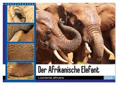 Der Afrikanische Elefant - Loxodonta africana (Wandkalender 2024 DIN A3 quer), CALVENDO Monatskalender