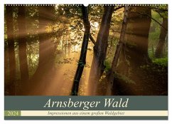 Arnsberger Wald (Wandkalender 2024 DIN A2 quer), CALVENDO Monatskalender - Franz Josef Hering, Dr.
