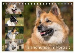 Islandhunde im Portrait (Tischkalender 2024 DIN A5 quer), CALVENDO Monatskalender