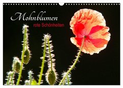 Mohnblumen - rote Schönheiten (Wandkalender 2024 DIN A3 quer), CALVENDO Monatskalender