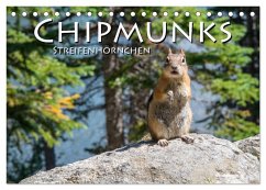 Chipmunks Streifenhörnchen (Tischkalender 2024 DIN A5 quer), CALVENDO Monatskalender