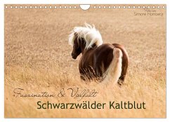 Faszination und Vielfalt - Schwarzwälder Kaltblut (Wandkalender 2024 DIN A4 quer), CALVENDO Monatskalender