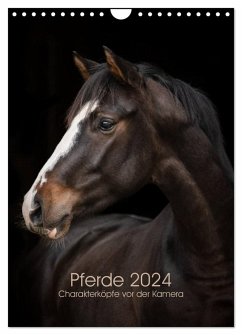 Pferde 2024 - Charakterköpfe vor der Kamera (Wandkalender 2024 DIN A4 hoch), CALVENDO Monatskalender