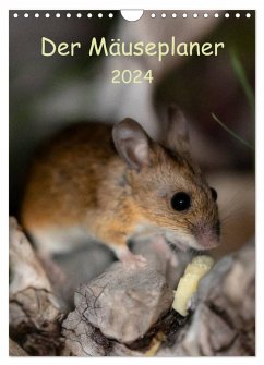 Der Mäuseplaner (Wandkalender 2024 DIN A4 hoch), CALVENDO Monatskalender
