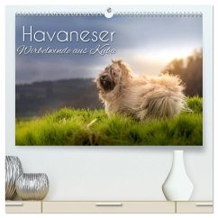 Havaneser - Wirbelwinde aus Kuba (hochwertiger Premium Wandkalender 2024 DIN A2 quer), Kunstdruck in Hochglanz - Hollstein, Alexandra