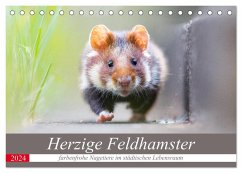 Herzige Feldhamster - farbenfrohe Nagetiere im städtischen Lebensraum (Tischkalender 2024 DIN A5 quer), CALVENDO Monatskalender