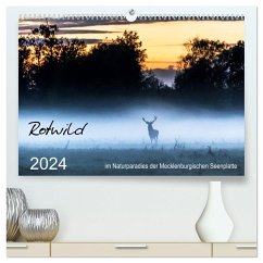 Rotwild - im Naturparadies der Mecklenburgischen Seenplatte (hochwertiger Premium Wandkalender 2024 DIN A2 quer), Kunstdruck in Hochglanz