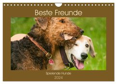 Beste Freunde - Spielende Hunde (Wandkalender 2024 DIN A4 quer), CALVENDO Monatskalender
