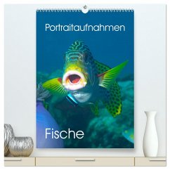 Portraitaufnahmen - Fische (hochwertiger Premium Wandkalender 2024 DIN A2 hoch), Kunstdruck in Hochglanz